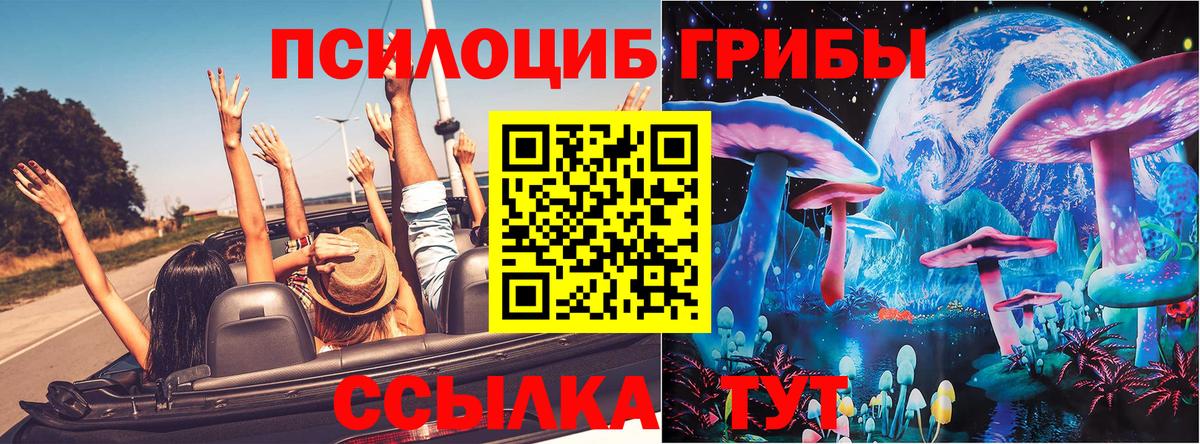 Галлюциногенные грибы Psilocybe  Псилоцибиновые грибы ЛСД  Благодарный  Вход с VPN 
